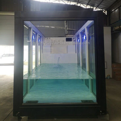 Luxury Custom Made Movable Prefab Modular Container Swimming Pool для сада и отеля
