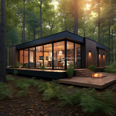 Семейный магазин стальных конструкций 20ft/40ft EU Luxury Modern Design Преfabрикованный дом с кухней ванной одной спальней